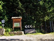 Bocchetta di Budria-Monte Azzaredo ad anello fiorito-10lu22 - FOTOGALLERY